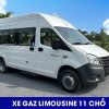 Xe gaz limousine 11 chỗ