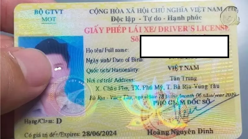 bằng d lái được xe gì